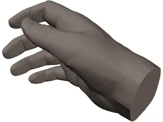 Hand Male 3D Model preview