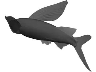 Parexocoetioes 3D Model preview