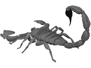 Scorpion (Arachnid Scorpionida) 3D Model preview