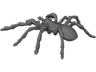 Tarantula 3D Model preview
