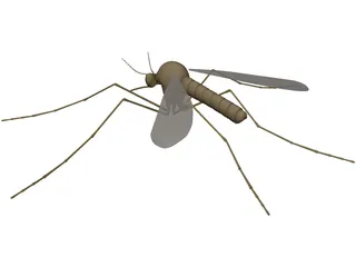 Mosquito 3D Model preview