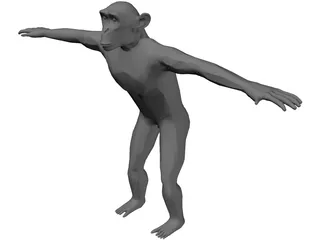 Chimpanzee 3D Model preview
