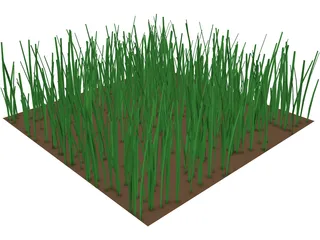 Grass 3D Model preview