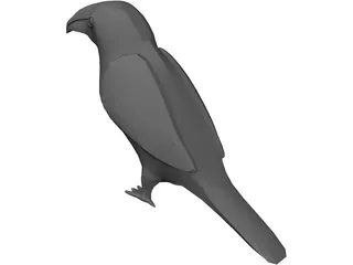 Tucan 3D Model preview