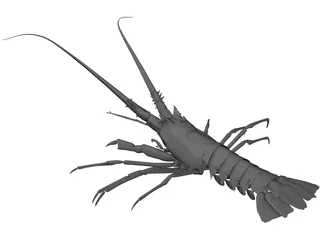 Lobster 3D Model preview
