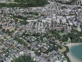 Auckland City, New Zealand (2022) 3D Model preview
