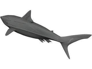 Great White Shark 3D Model preview
