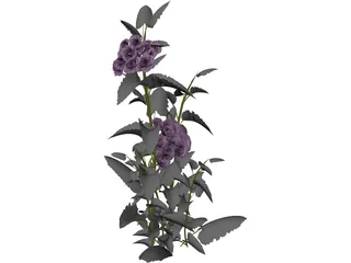 Plant 3D Model preview