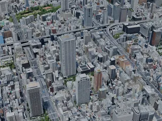 Osaka City, Japan (2024) 3D Model preview