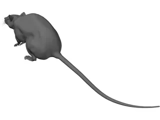Rat House 3D Model preview