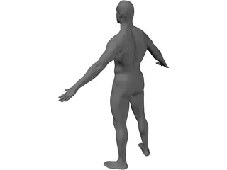 Man Body International 3D Model preview