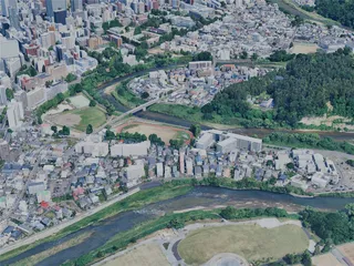 Sendai City, Japan (2025) 3D Model preview