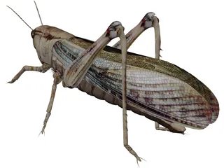 Grasshopper 3D Model preview