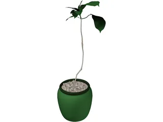 Plant 3D Model preview