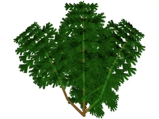 Juniper Bush 3D Model preview