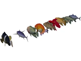 Fish Collection 3D Model preview