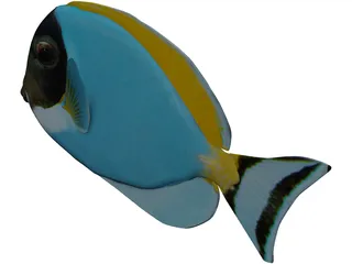 Amblyrhyncotes 3D Model preview