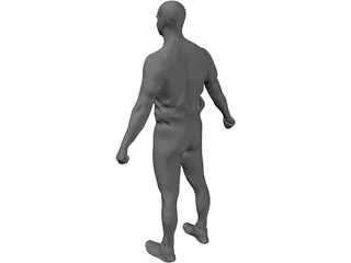 Human 3D Model preview