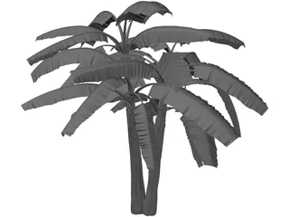 Brasil Bananeira 3D Model preview