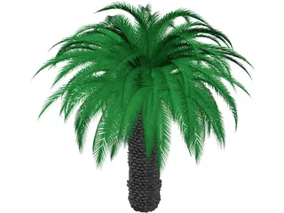 Tree 3D Model preview