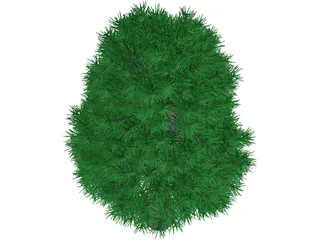 Tree 3D Model preview