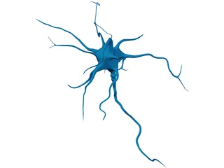 Neuron 3D Model preview