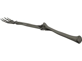 Hand 3D Model preview