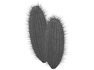 Cactus 3D Model preview
