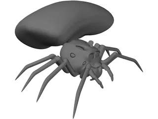Jumping Spider 3D Model preview