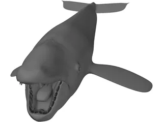 Whale 3D Model preview