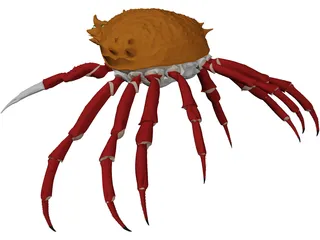 Crab (Maia Squinado) 3D Model preview
