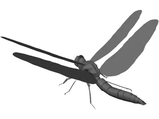 Dragon Fly 3D Model preview