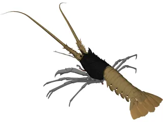 Lobster (Palinurus Elephas) 3D Model preview