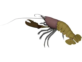 Lobster (Homarus Gammarus) 3D Model preview