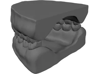 Teeth and Gums 3D Model preview