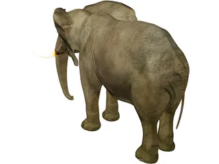Elephant African Male 3D Model preview