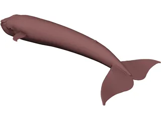 Whale Blue 3D Model preview