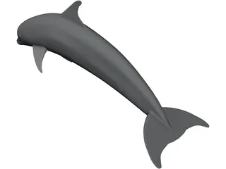 Dolphin Bottle-Nosed 3D Model preview