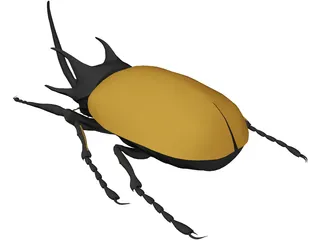Eupatorus Gracilicornis 3D Model preview