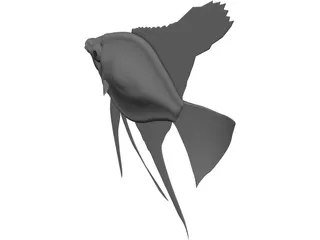 Pterophyum Scalare 3D Model preview