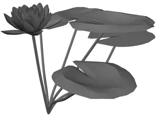 Lilly Water 3D Model preview