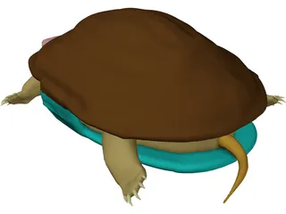 Turtle (Terrapene Ornata) 3D Model preview