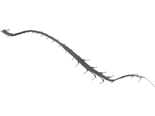 Spinal Cord 3D Model preview