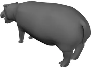 Hippopotamus 3D Model preview
