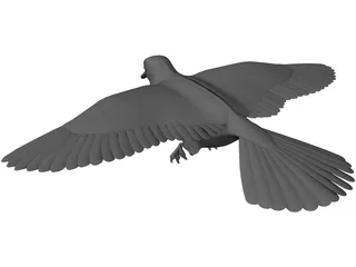 Dove 3D Model preview