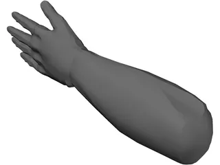 Hand Male 3D Model preview