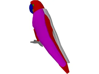 Macaw Hyacinth 3D Model preview
