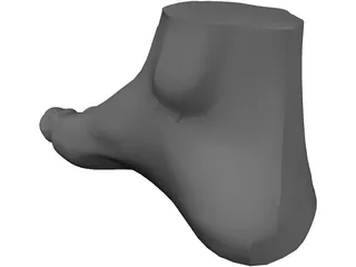Foot 3D Model preview