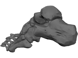 Foot Bone Left 3D Model preview