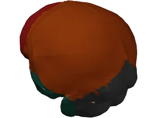 Dura Mater 3D Model preview
